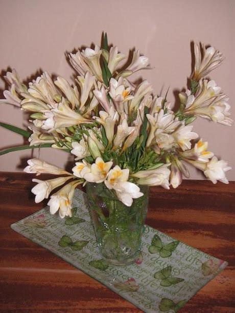 Nardos no cuestan dinero ...