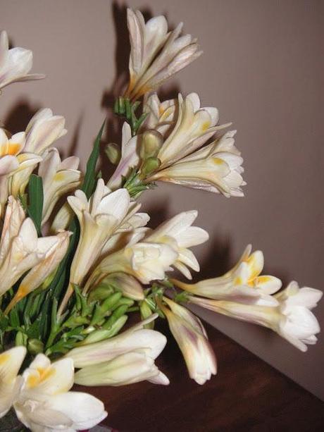 Nardos no cuestan dinero ...