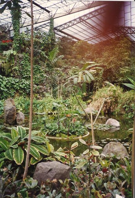 Una estufa fría en una botella Una estufa fría en una botella