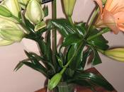 flores viernes
