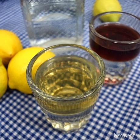 Ardaurgozatza o limonada vasca para el verano