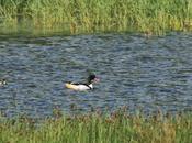 Macabra cuenta atrás