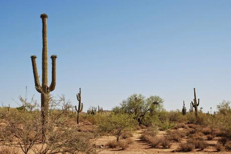 CASTILLO DE MONTEZUMA
