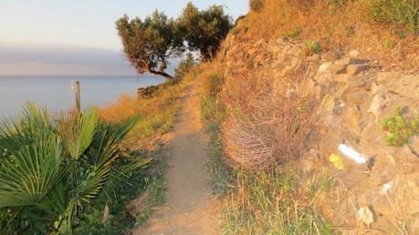 Ruta por la costa Granaina, corriendo por Almuñecar.