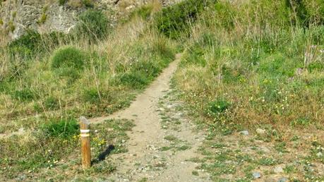 Ruta por la costa Granaina, corriendo por Almuñecar.