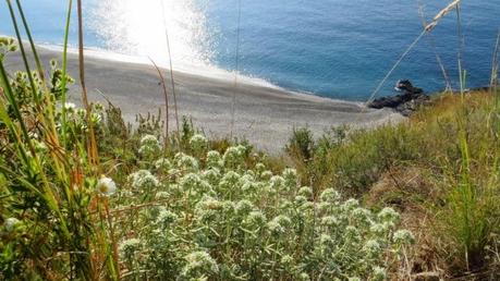 Ruta por la costa Granaina, corriendo por Almuñecar.