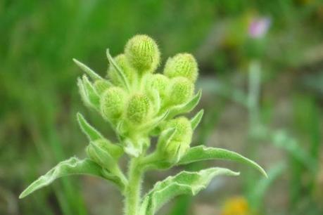 Ruta por la costa Granaina, corriendo por Almuñecar.