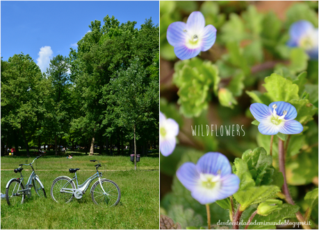 picnic desdeesteladodemimundo.blogspot.it