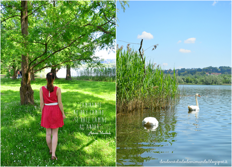 picnic desdeesteladodemimundo.blogspot.it