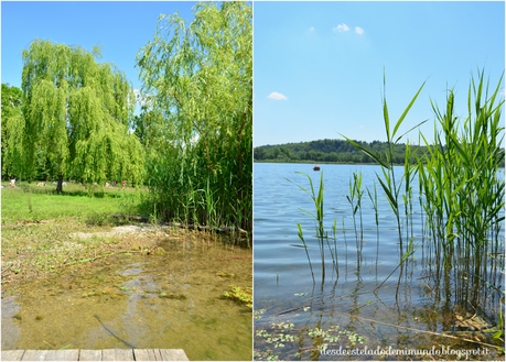 picnic desdeesteladodemimundo.blogspot.it