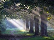 Nuestra conexión naturaleza todo vivo