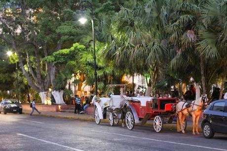 Night in Mérida