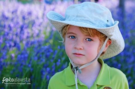 Ojos azules sobre campo malva. Fotografía creativa - Fotografía decorativa - fotografía infantil