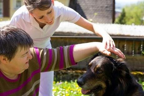 Perros de ayuda a personas enfermas o de duelo