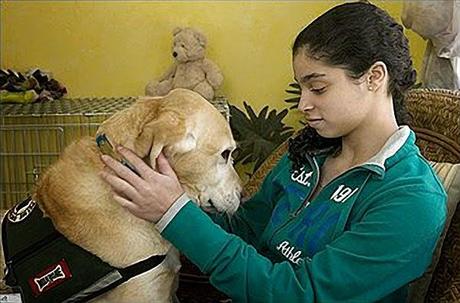 Perros de ayuda a personas con problemas de salud mental. 