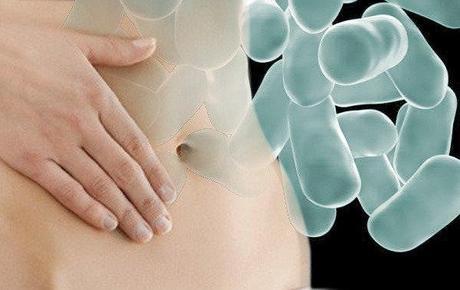 Bacterias modificadas contra la obecidad