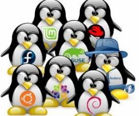 Mi experiencia en el hosting Vigunu que-elegir-linux
