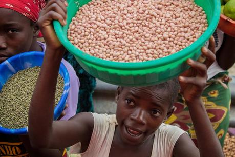 Entomología en Gorongosa