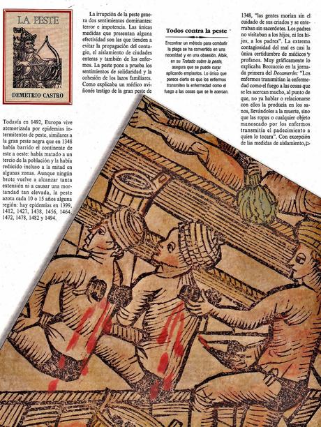 LAS PLAGAS DEL RENACIMIENTO