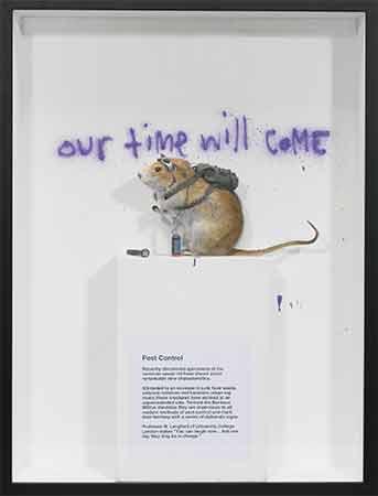 'Pest Control Bankus Militus Vandalus', Banksy.