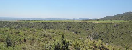 Viaje a ninguna parte. Perdido en el monte. Un viñedo plantado en un altiplano casi perfecto.
