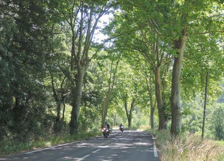 Viaje a ninguna parte. Perdido en el monte. Ejemplo de típica carretera secundaria francesa.