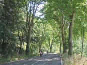 Viaje ninguna parte. Perdido monte.