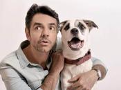 Famosos promueven adopción canina