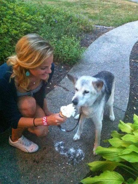 regalo de despedida a un perro antes de ser sacrificado