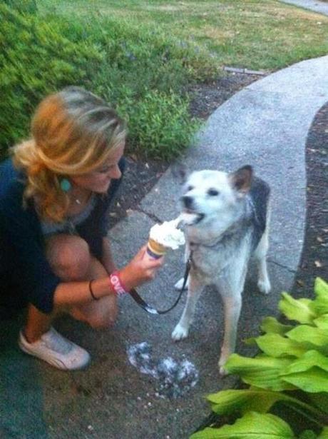 regalo de despedida a un perro antes de ser sacrificado