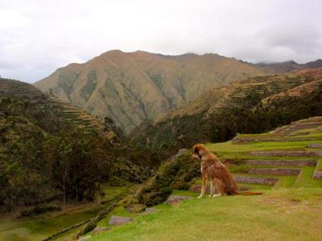 VALLE SAGRADO, PERU