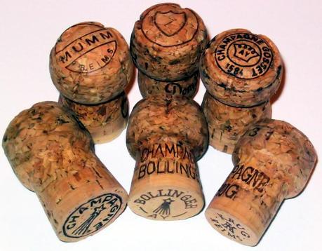 DÍAS DE CHAMPÁN - Rafel Nadal