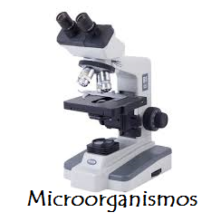 Enfermedades de Transmisión Sexual