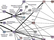 Dibujan mapa relaciones entre enfermedades