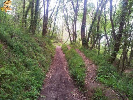 Senderismo en A Coruña: PRG 17 Arredor de Cambre Senderismo en A Coruña: PRG 17 Arredor de Cambre