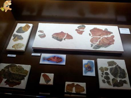 Senderismo en A Coruña: PRG 17 Arredor de Cambre Senderismo en A Coruña: PRG 17 Arredor de Cambre