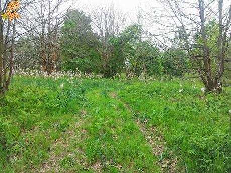 Senderismo en A Coruña: PRG 17 Arredor de Cambre Senderismo en A Coruña: PRG 17 Arredor de Cambre