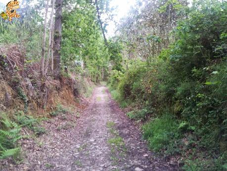 Senderismo en A Coruña: PRG 17 Arredor de Cambre Senderismo en A Coruña: PRG 17 Arredor de Cambre