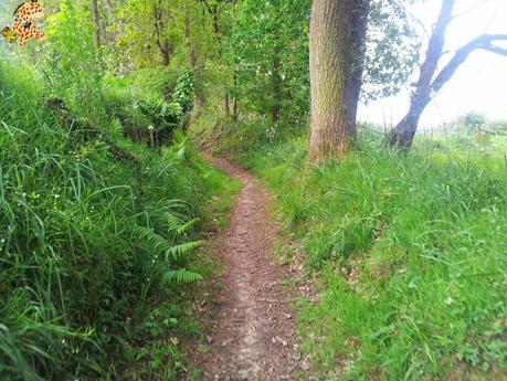 Senderismo en A Coruña: PRG 17 Arredor de Cambre Senderismo en A Coruña: PRG 17 Arredor de Cambre