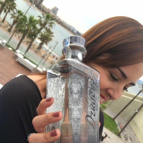 Gin show - Blogger Ambassador