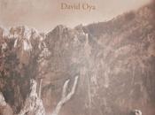 Nuestro concurso boletín CONOCE FUENTES