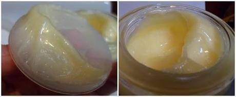 Zorgan Cleanser Zorgan Cleanser