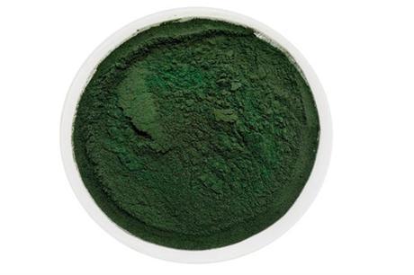 Conoce las propiedades y los beneficios de la espirulina