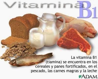 Tiamina o vitamina B1, la vitamina nerviosa.