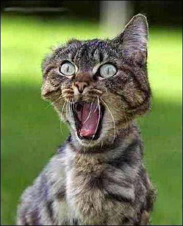 Mi susto en vacaciones