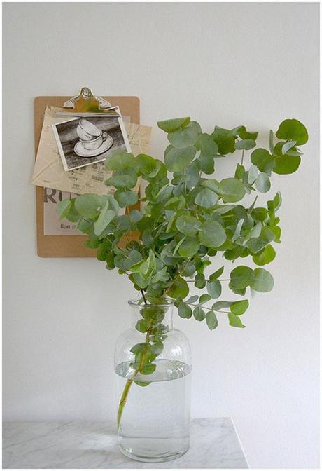 eucalyptus-decor-06