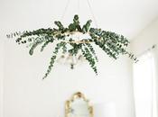 Decorar eucalipto