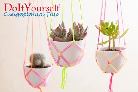 DIY: Colgando plantas