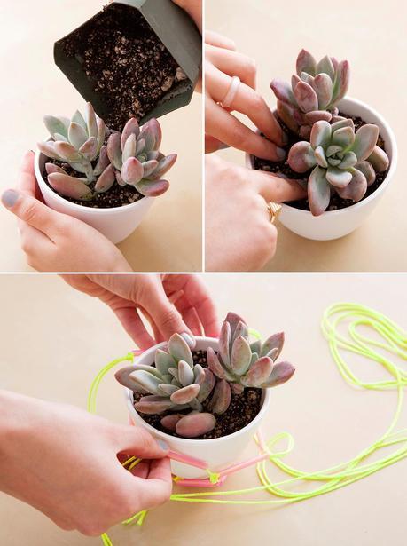 DIY: Colgando plantas