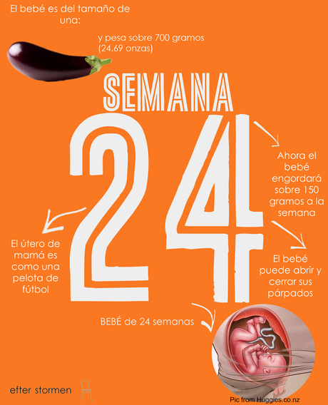 Semana 24 Embarazo | Week 24 Pregnancy